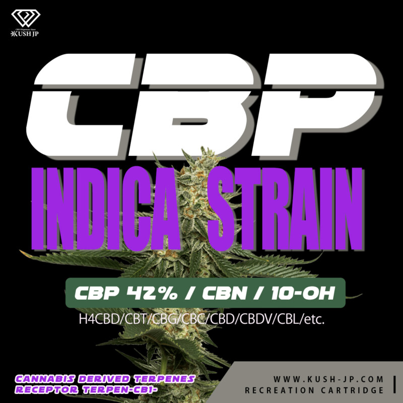 CBP-INDICA-