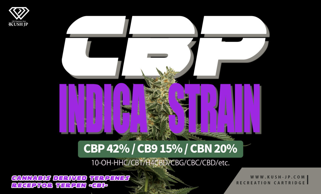 CBP-INDICA-（商品カード）