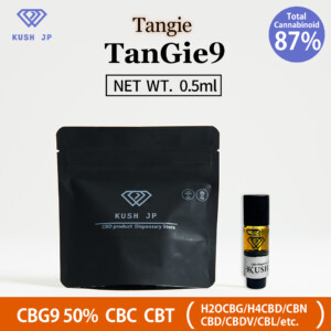 TANGIE9＿商品画像フルガラス