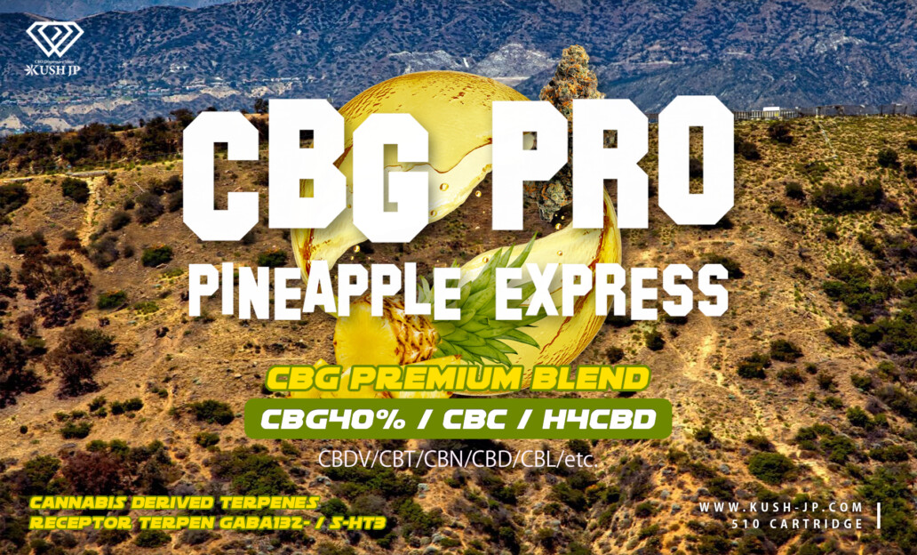 CBG-PRO-ショップカード