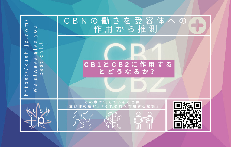 CBNはCB1とCB2に対してどのように作用するのか