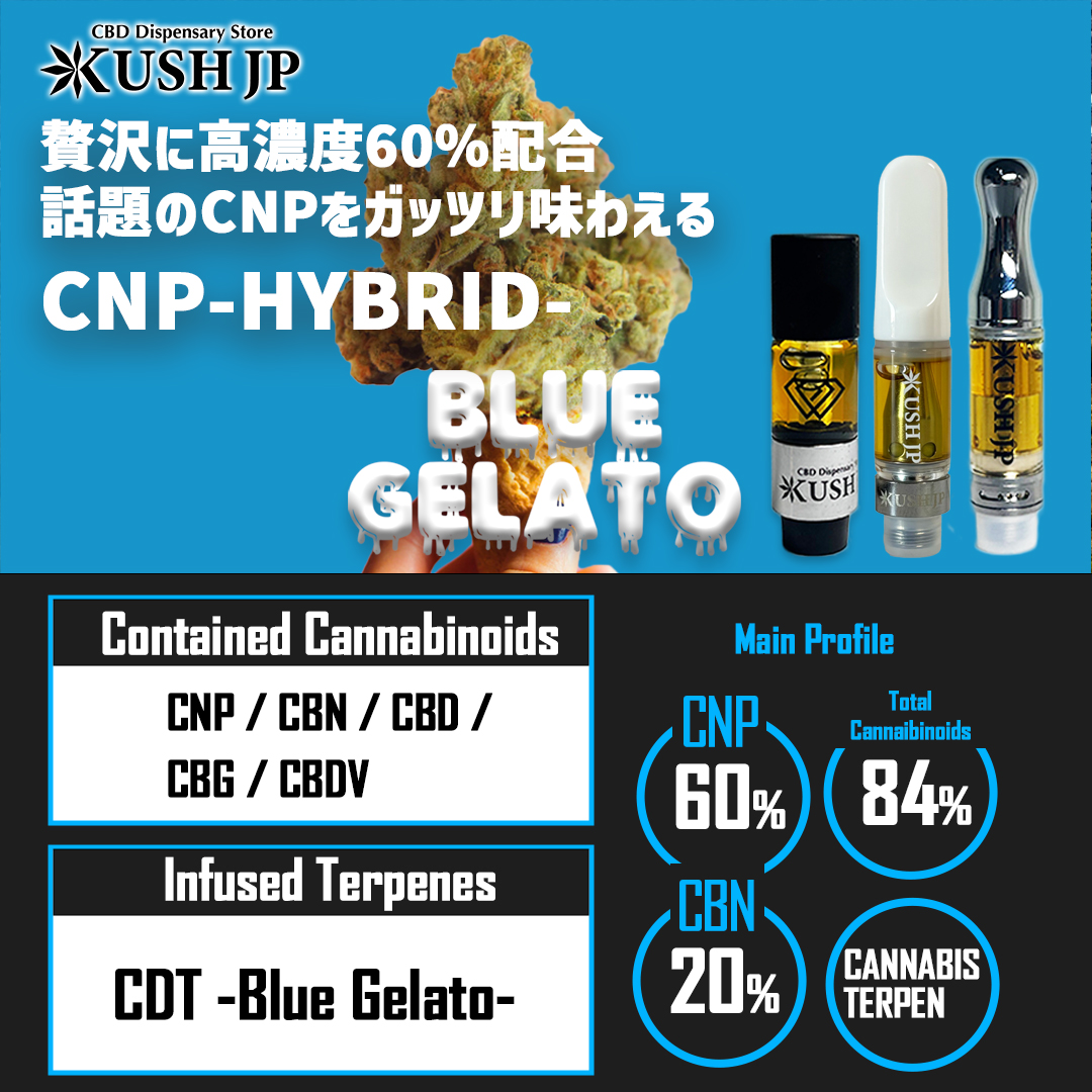 CNP-HYBRID- LP1