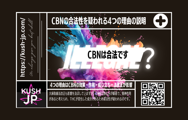 CBNの合法性を説明する4つの観点