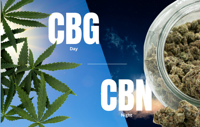 CBDとCBGの作用と効果の違いを理解する