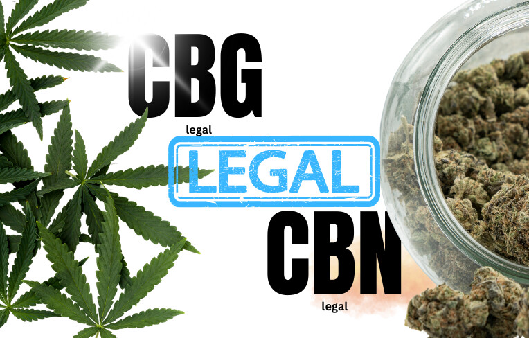 CBDとCBGの合法性を理解する