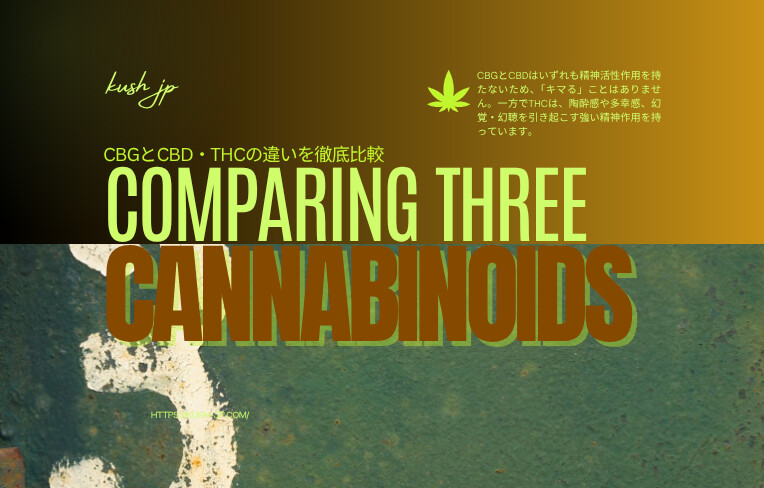 CBGとCBD・THCの違いを徹底比較|精神作用・用途・法律の違いとは?