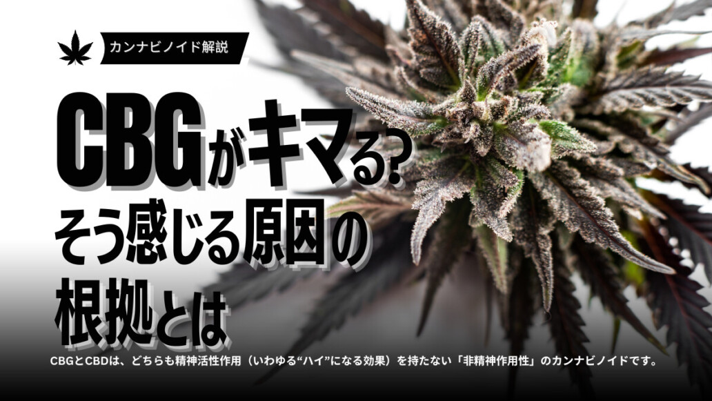 CBG キマる