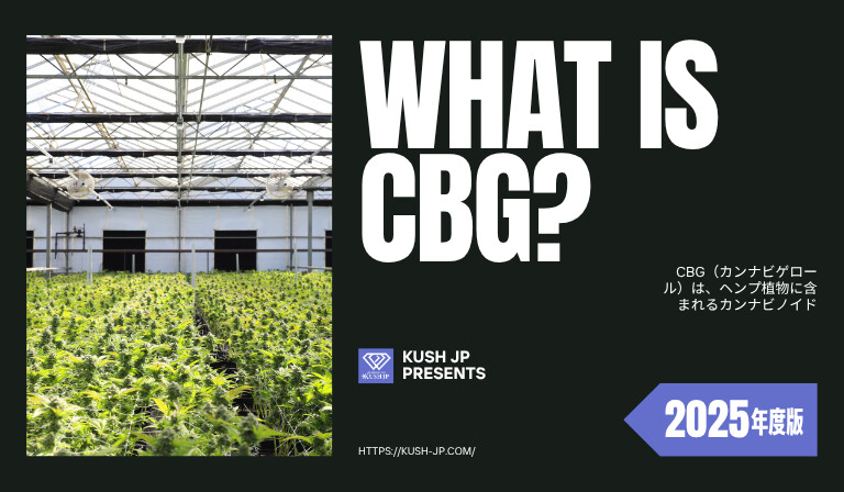 CBGとは？