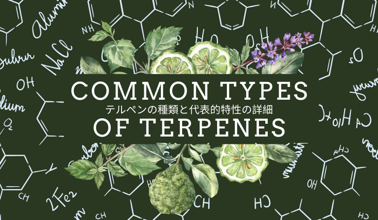 テルペンの種類と代表的特性の詳細
