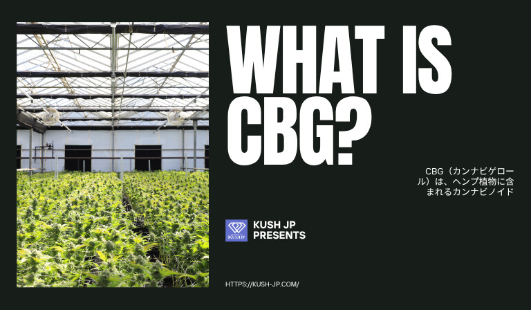 CBGとは・CBGリキッドとは