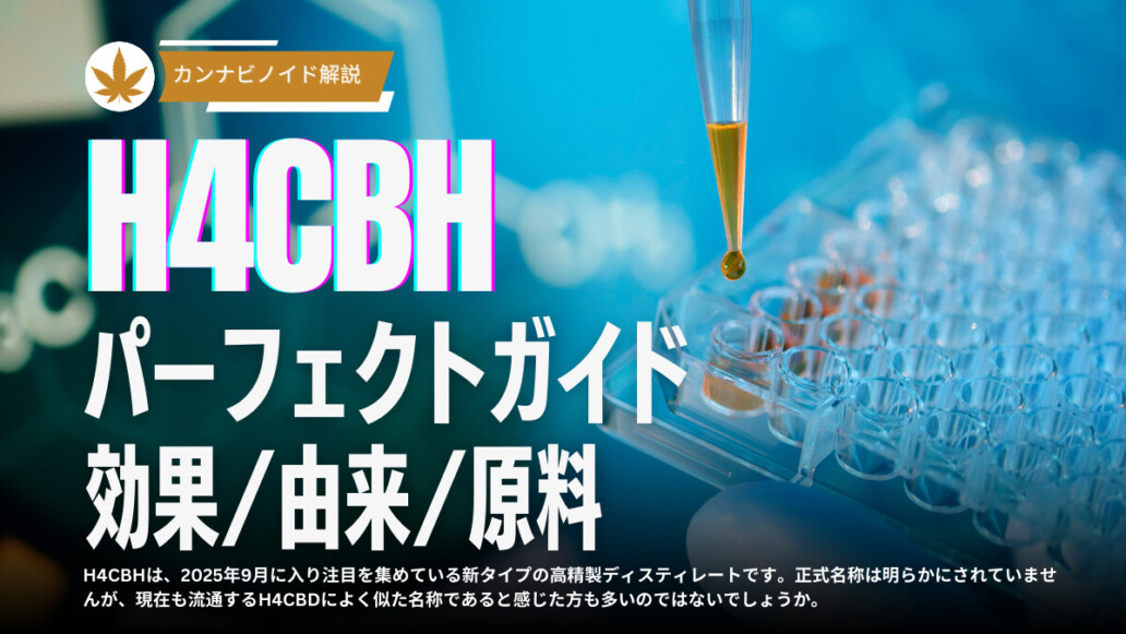 極上の世界 h4cbh CRDP cbn THXE CNP CBD CRDH 極上の世界 h4cbh CRDP cbn THXE CNP CBD CRDH エッセンシャルオイル