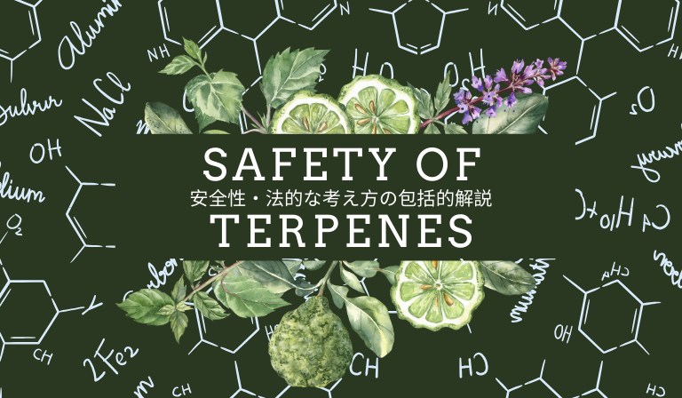 安全性・法的な考え方の包括的解説