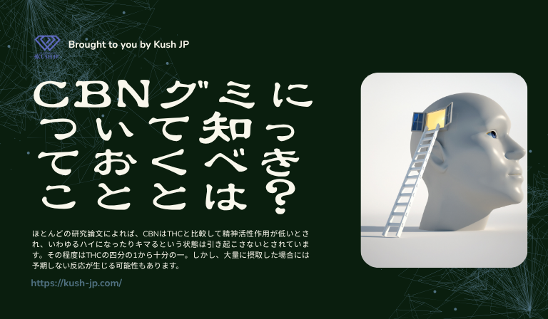 CBNグミを食べ過ぎた場合について知っておくべきこと　Kush JP
