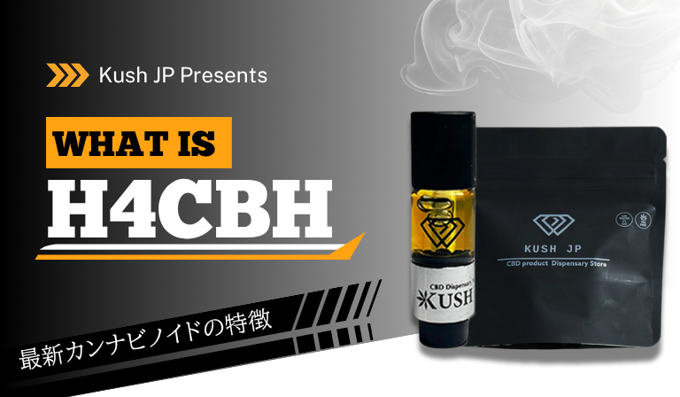H4CBHとは何か？レビューの根拠を探る　Kush JP