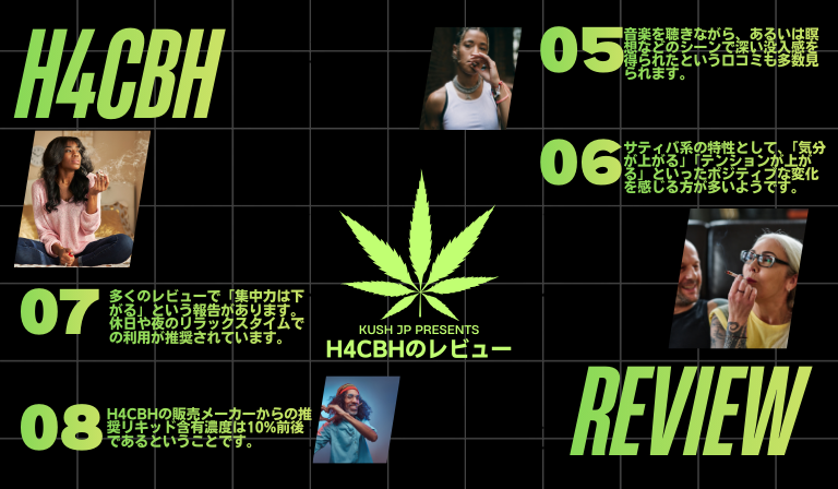 H4CBH体感レビューの傾向分析