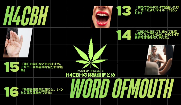 購入者のリアル口コミ/体験談まとめ