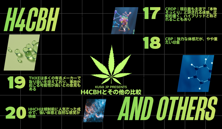 H4CBHと他カンナビノイドの体感比較