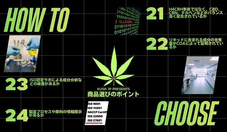 H4CBH商品選びで失敗しないポイント