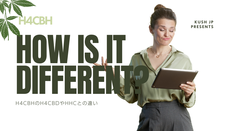 H4CBHはH4CBDやHHCとどう違う?