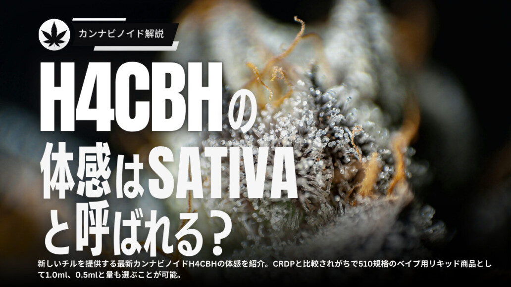 H4CBH 体感の解説 Kush JP
