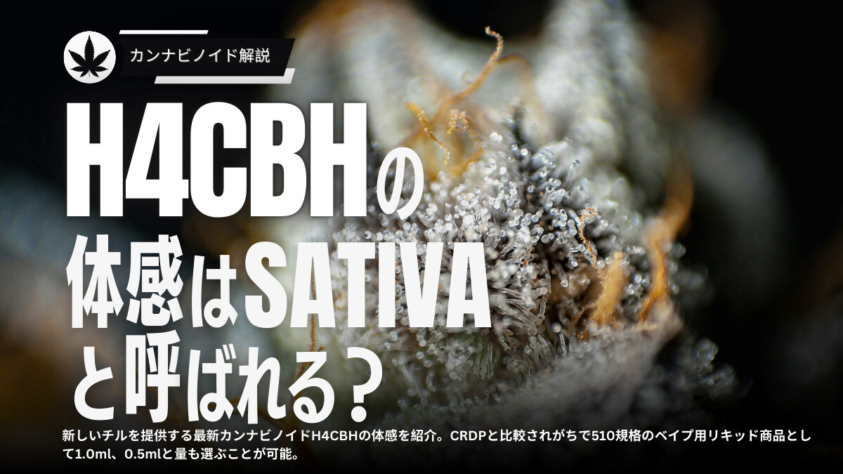 H4CBHの体感とは？最新リキッドの効果とCRDPとの違いを解説 - KUSH JP