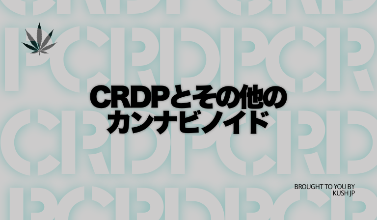 他カンナビノイドとの違い（THCH/HHC/CBDなど）