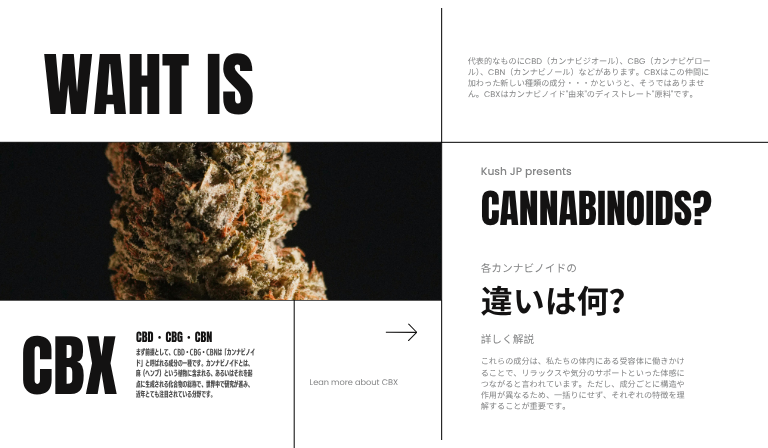 そもそもカンナビノイドとは?CBD・CBX・CBG・CBNの位置づけ