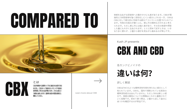 【比較表】CBXとCBDの違いを一覧で整理