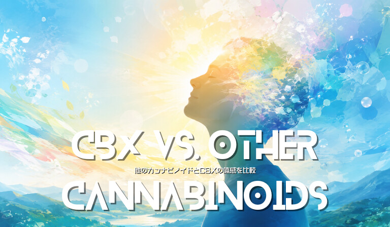 他のカンナビノイドとCBXの体感を比較