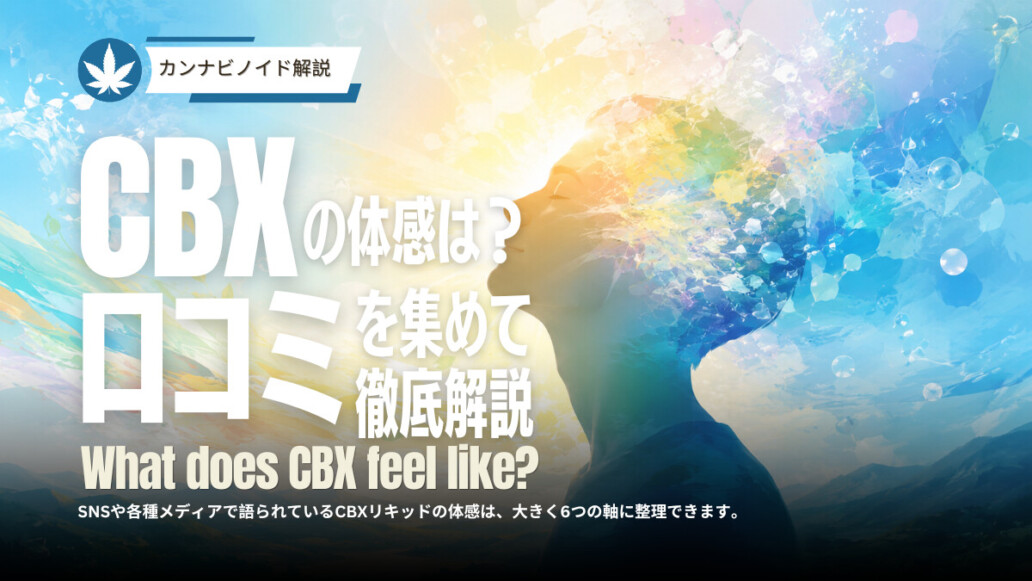 CBXリキッドの体感とは